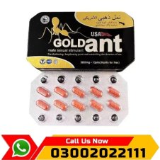 USA Gold Ant Timing Tablets in Pakistan